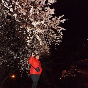 ���������� ����, ���� ������� �����, 38 ���, ������������ ��� ������, ����� � ���������, c�������� ���������