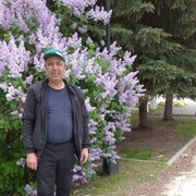 ���������� ������, ���� ������� ��������, 56 ���, ������������ ��� ������, ����� � ���������, c�������� ���������