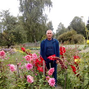  ,   , 54 ,   ,   , c 