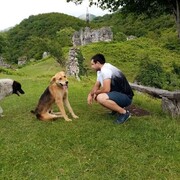 ���������� ����, ���� ������� ����, 26 ���, ������������ ��� ������, ����� � ���������