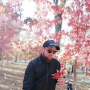 ���������� ������-��-����, ���� ������� �����, 38 ���, ������������ ��� ������, ����� � ���������