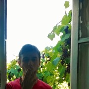  ,  shotka, 28