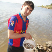  ,   Alik, 33 ,   ,   , c 