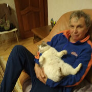 ���������� �����������, ������� ���������, 67