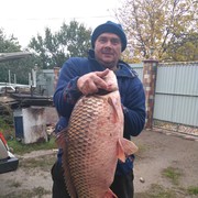  ,   , 54 ,   