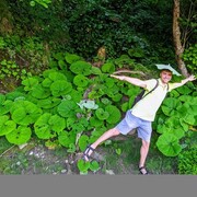  ,   , 41 ,   ,   , c , 