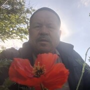  ,   , 56 ,   ,   