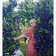 ���������� ����������, ���� ������� ������, 67 ���, ������������ ��� c�������� ���������