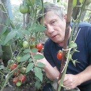  ,   , 61 ,   ,   , c 
