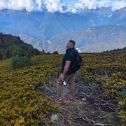 ���������� ������, ���� ������� �������, 45 ���, ������������ ��� ����� � ���������, c�������� ���������