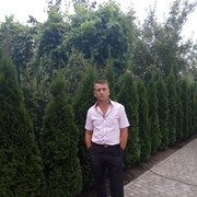  ,   , 45 ,   