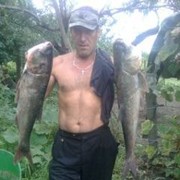  ,   Tolazorin, 59 ,   