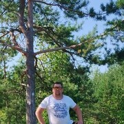 ���������� �����, ���� ������� ���������, 38 ���, ������������ ��� ������, ����� � ���������