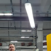 ���������� ������ ��������, ���� ������� ������, 50 ���, ������������ ��� ����� � ���������, c�������� ���������