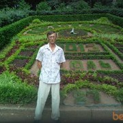 ���������� ����, ���� ������� ����, 50 ���, ������������ ��� ������