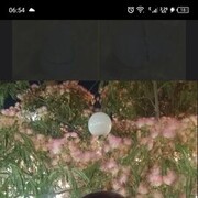  ,   , 49 ,   ,   , 
