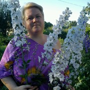 ���������� ��������, ���� ������� �������, 49 ���, ������������ ��� ������, ����� � ���������, c�������� ���������