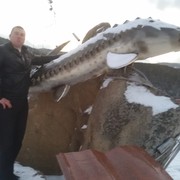 ���������� �������, ���� ������� ���, 38 ���, ������������ ��� ������, ����� � ���������, c�������� ���������