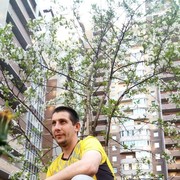  -,   , 38 ,   ,   , c 