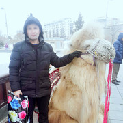 ���������� ����, ���� ������� ����, 48 ���, ������������ ��� ������, ����� � ���������, c�������� ���������