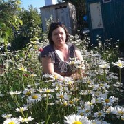 ���������� ���������, ���� ������� ���������, 41 ���, ������������ ��� ������, ����� � ���������, c�������� ���������