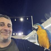  ,   , 39 ,   ,   