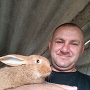 ���������� ���������, ���� ������� ����, 40 ���, ������������ ��� ������, ����� � ���������