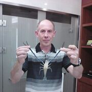  ,   , 55 ,   ,   , c 