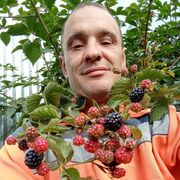 ���������� ������, ���� ������� �����, 43 ����, ������������ ��� ������, ����� � ���������, c�������� ���������, ���������