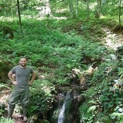 ���������� �����, ���� ������� Said, 37 ���, ������������ ��� ������, ����� � ���������