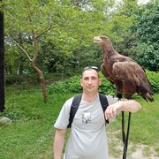  ,   , 33 ,   c 