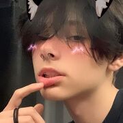 ���������� �����-���������, ���� ����� ������, 24 ����, ������������ ��� ����� � ���������, ���������