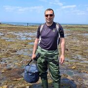 ���������� ����-���������, ���� ������� ����, 46 ���, ������������ ��� ������