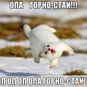  ,   , 55 ,   ,   , c , 
