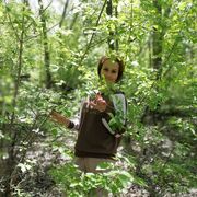 ���������� ��������, ���� ������� �����, 39 ���, ������������ ��� ���������