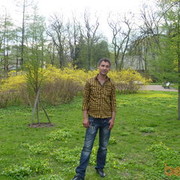  -,   , 49 ,   ,   , c 
