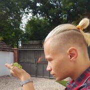  ,   , 30 ,   ,   , 