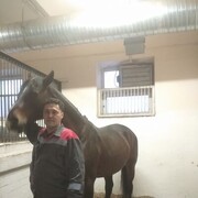 ���������� ���������, ���� ������� ����, 50 ���, ������������ ��� ������, ����� � ���������, c�������� ���������, ���������