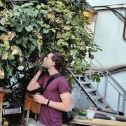 ���������� ������-��-����, ���� ����� ����, 24 ����, ������������ ��� ������, ����� � ���������, c�������� ���������, ���������