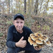 ���������� ���������, ���� ������� �����, 45 ���, ������������ ��� ������, ����� � ���������, c�������� ���������