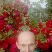 ���������� �����, ���� ������� ����, 44 ����, ������������ ��� ����� � ���������, c�������� ���������