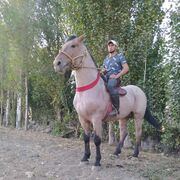 ���������� ������, ���� ������� Narzullo, 30 ���, ������������ ��� ������, ����� � ���������