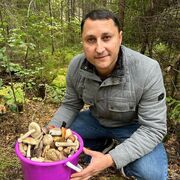 ���������� ������������, ���� ������� �������, 38 ���, ������������ ��� ����� � ���������, c�������� ���������