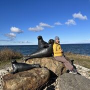 ���������� ����������, ���� ������� ���������, 38 ���, ������������ ��� ����� � ���������, c�������� ���������