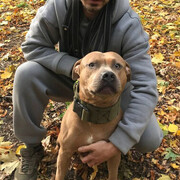 ���������� ��������������, ���� ������� �����, 33 ����, ������������ ��� ������, ����� � ���������