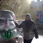 ���������� ����, ���� ������� ������, 43 ����, ������������ ��� ���������