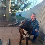 ���������� �����-���������, ���� ������� ������, 49 ���, ������������ ��� ������, ����� � ���������