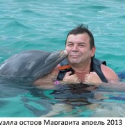 ��������� 2013