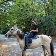 ���������� ������, ���� ������� ����, 29 ���, ������������ ��� ������, ����� � ���������, c�������� ���������