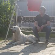 ���������� ������, ���� ������� ����, 52 ����, ������������ ��� ����� � ���������, c�������� ���������